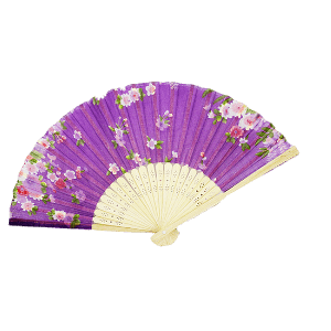 a chinese fan
